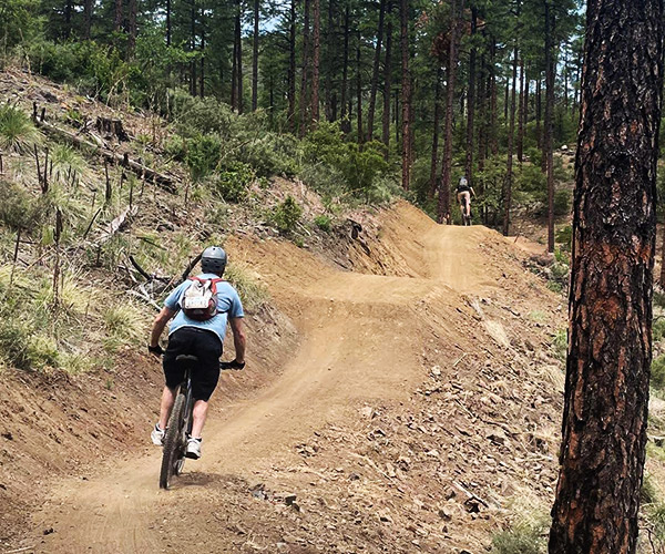 Bean Peaks Downhill Single Track Prescott